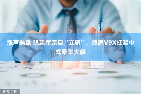 涨声操盘 魏建军亲自“立旗”，魏牌V9X扛起中式豪华大旗